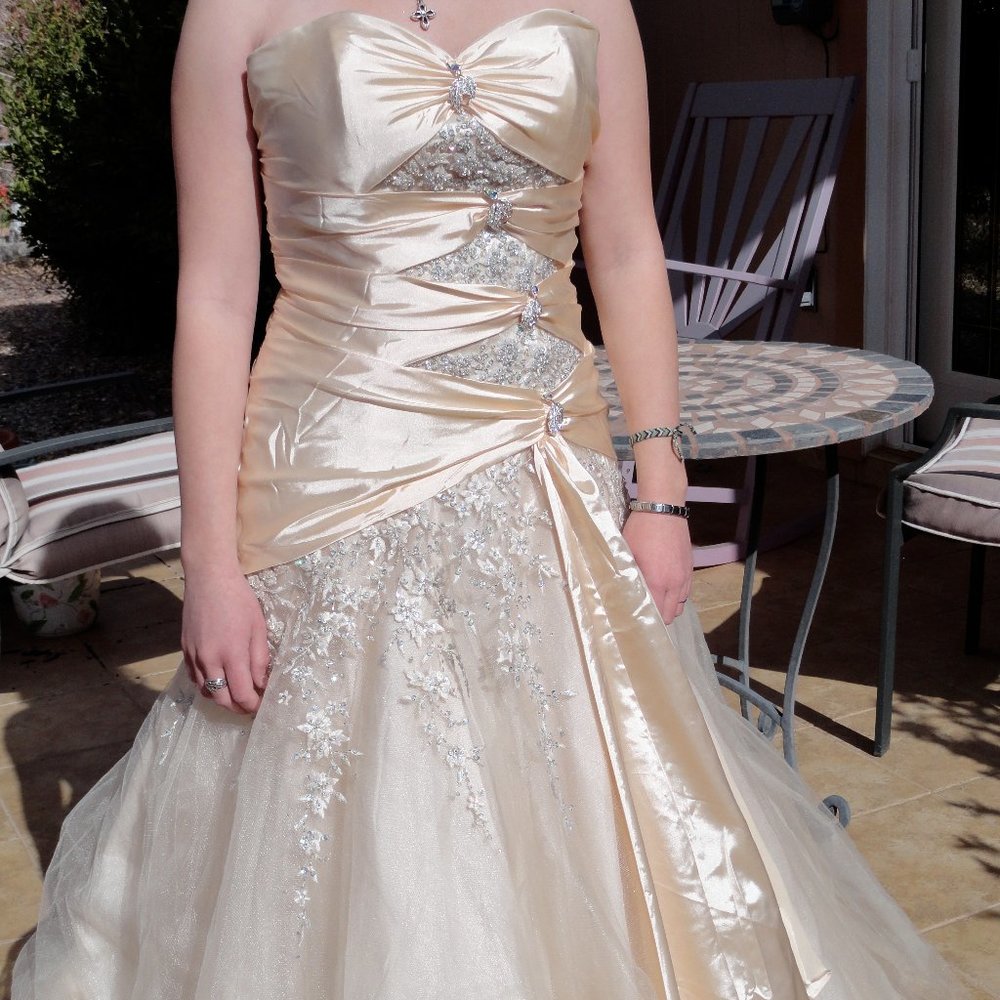 Strapless Prom/Wedding Gown